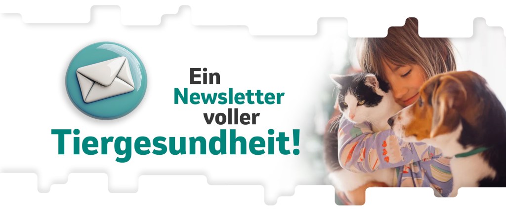 Mensch umarmt Hund und Katze