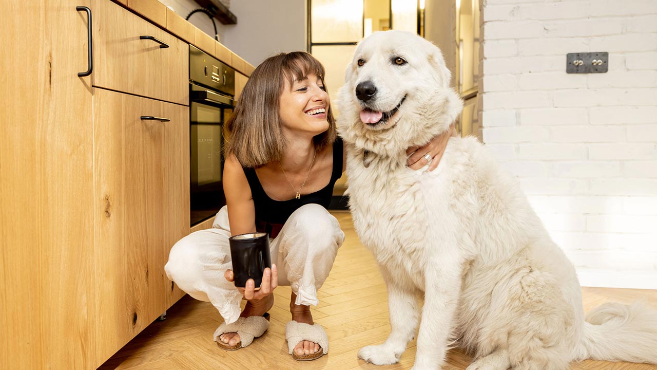 Tierverhalten: Tipps, wie du dein Haustier besser verstehen kannst