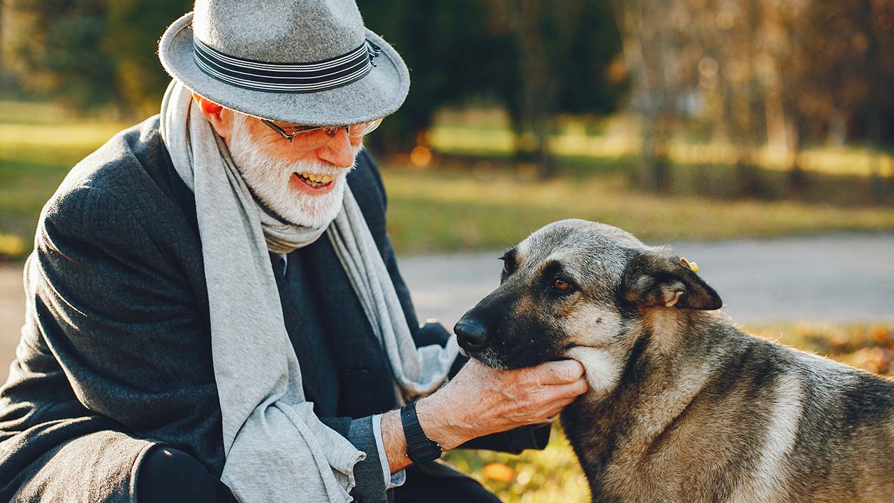 Die Betreuung von älteren und behinderten Haustieren