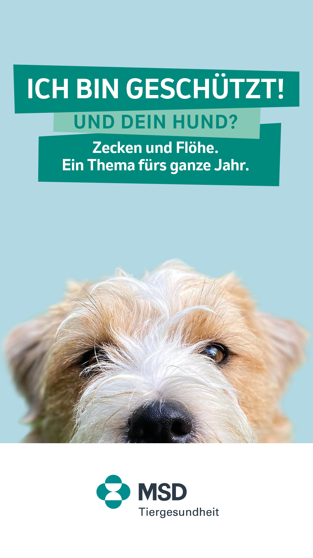 Hund im Hochkantformat für Social Media