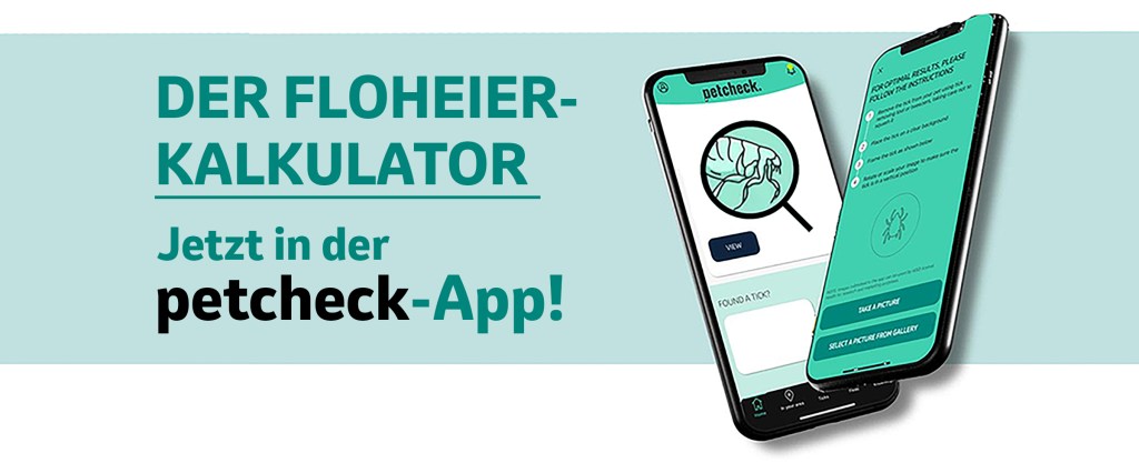 Floheier-Kalkulator zur Schätzung der Anzahl an Floheiern in deiner Umgebung